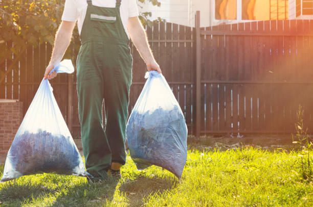 Best Shed Removal  in Bonduel, WI